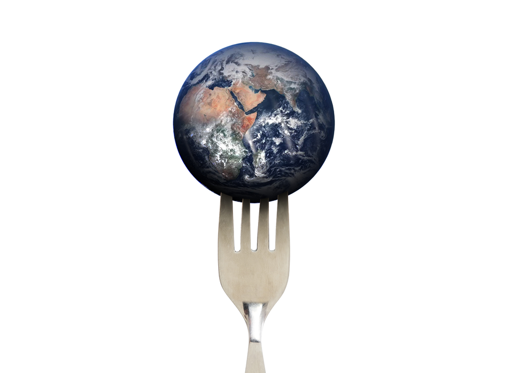Tavira discute vegetarianismo e o impacto da alimentação no planeta